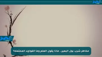 مخاطر شرب بول البعير.. ماذا يقول العلم وما الفوائد المحتملة؟